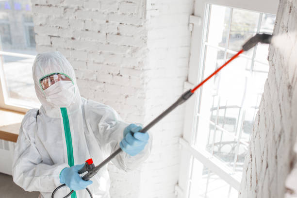 Best Mold Documentation for Insurance Claims  in Keystone, FL