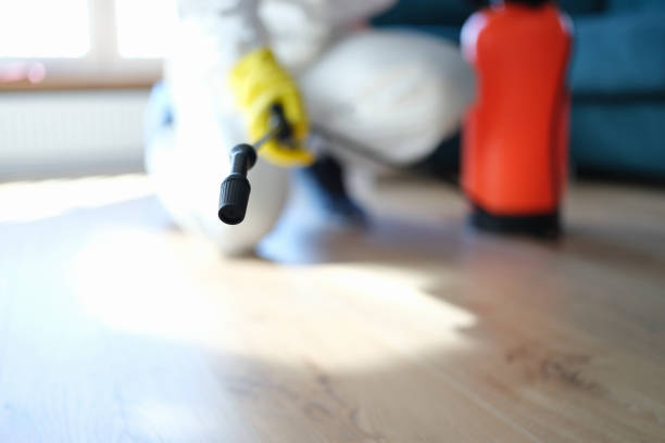 Best Environmental Consulting for Mold Prevention  in Keystone, FL