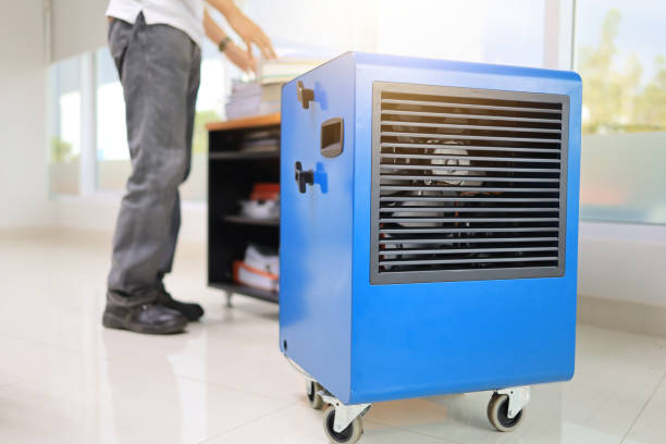 Best Black Mold Removal  in Keystone, FL