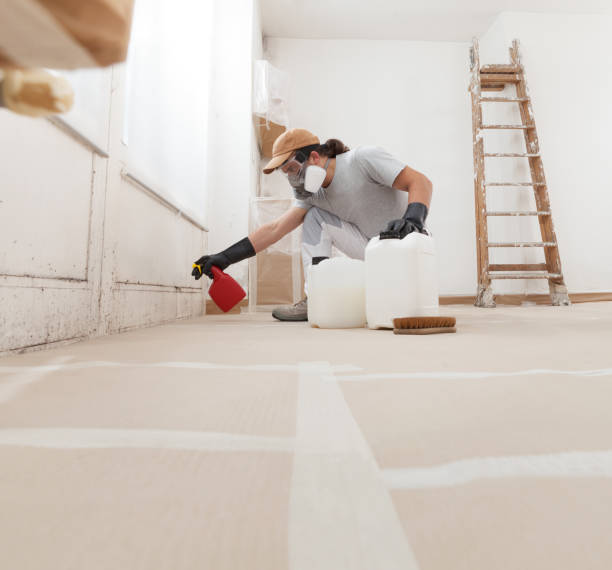 Best Forensic Mold Investigation  in Keystone, FL
